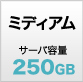 プラン・ミディアム/サーバ容量250GB